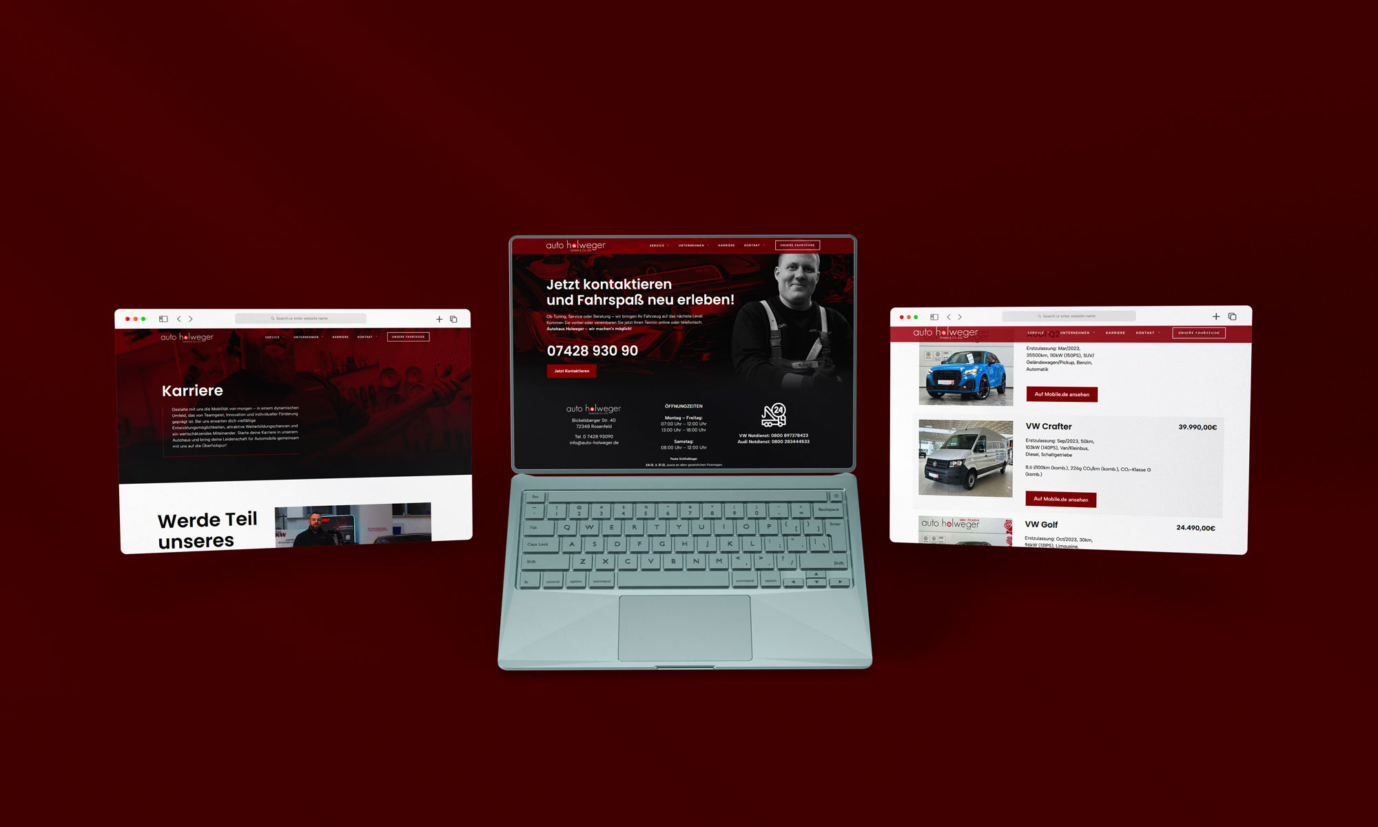 Webseite Screenshot Holweger